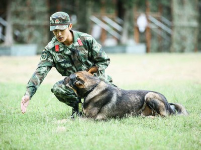 求教官开小灶！《奇兵神犬》姜潮与犬动情交流再磨合