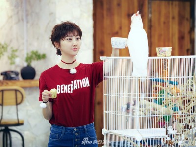《青春旅社》王源景甜与客人畅聊音乐 何穗戴军做美食