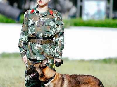 《奇兵神犬》张大大姜潮爆发激烈争执 互怼二人组上线